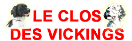 Le clos des vickings